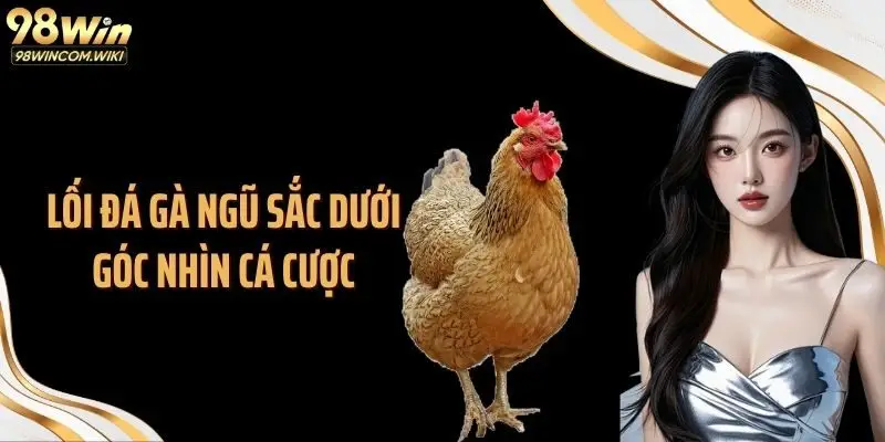 Lối đá gà ngũ sắc dưới góc nhìn cá cược